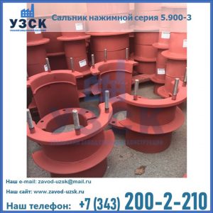 Сальники нажимные серия 5.900-3 в Невинномысске